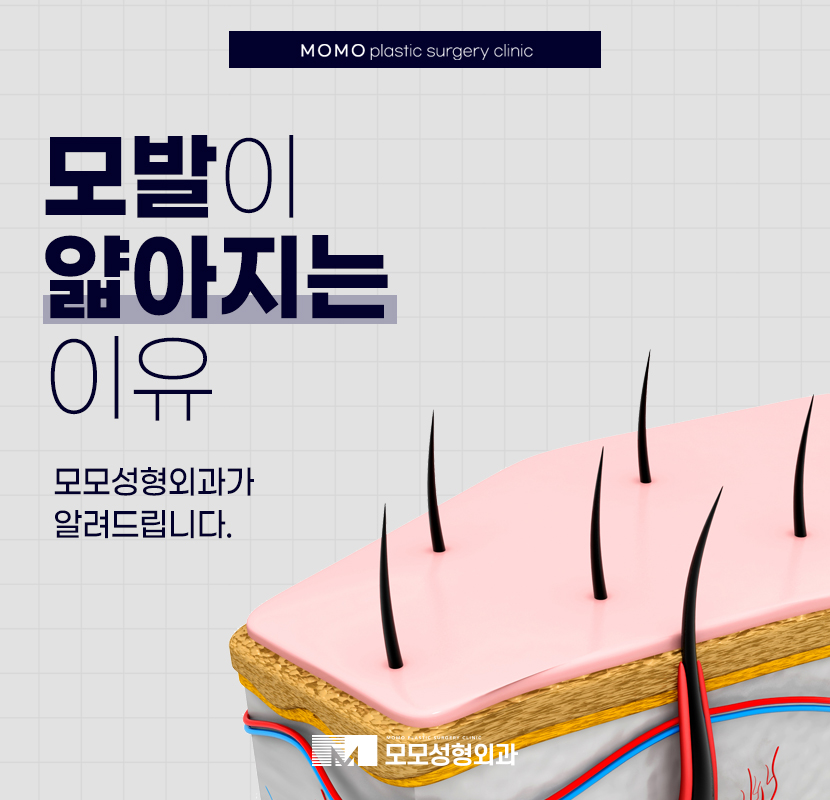 모발이얇아지는이유 제대로 알아야만 관련 이미지 1