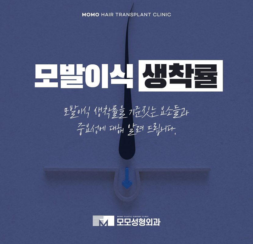 모발이식 생착률 기준짓는 요소들은 무엇일까 관련 이미지 1
