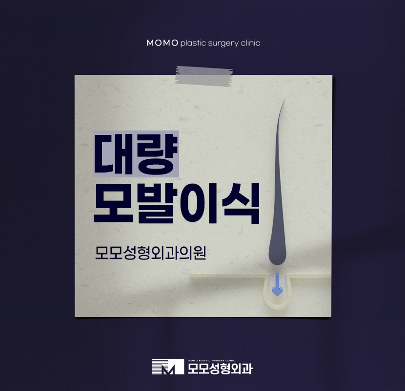 대량모발이식 후회 없는 선택으로 관련 이미지 1
