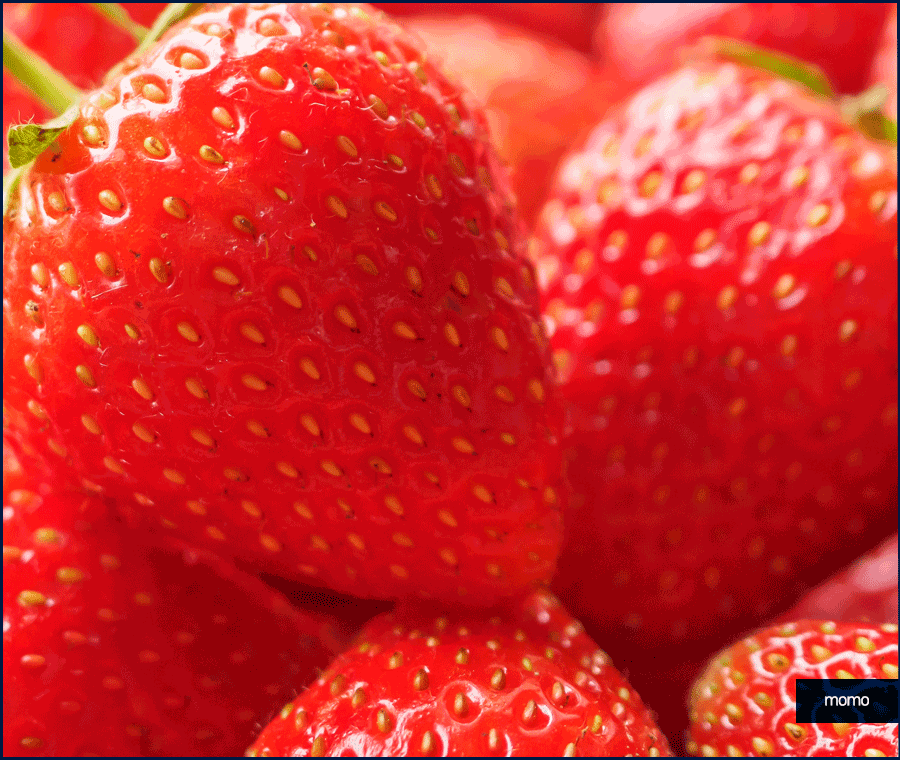 원형탈모에 좋은 음식 고민이라면 꼭 먹기 관련 이미지 15