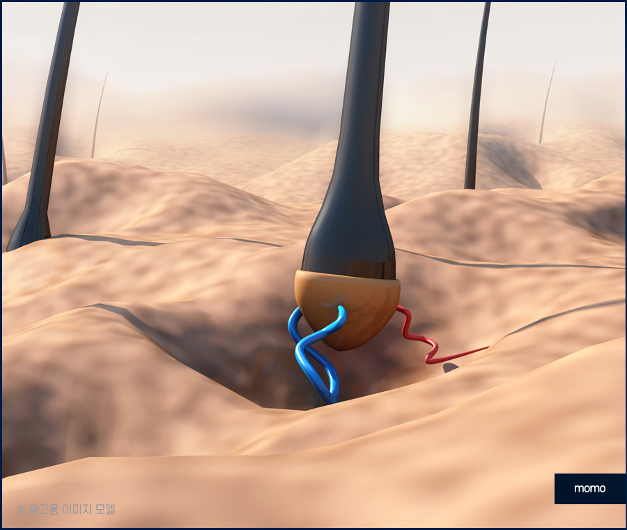 두피 누르면 통증이 느껴질 경우 위험한 이유 관련 이미지 5