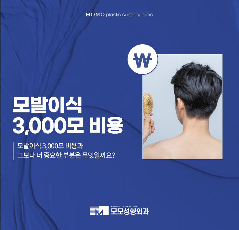 모발이식3000모비용 찾아 보는 것 보다 우선적인 것은 관련 이미지 1