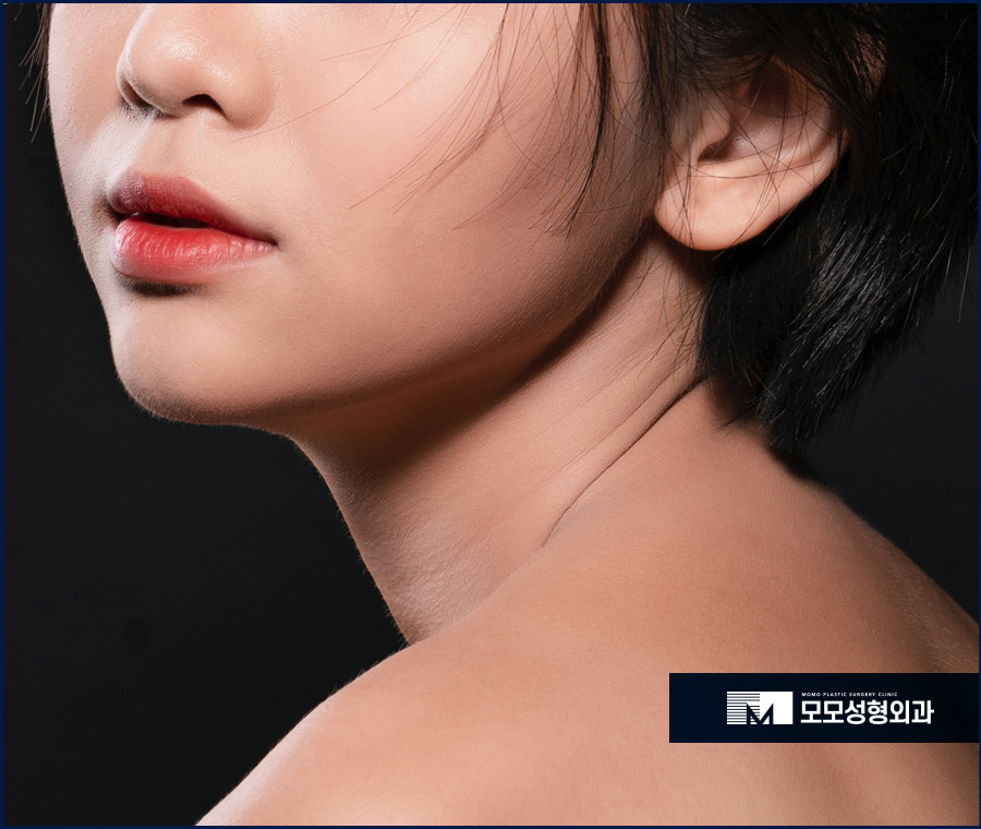 신사 지방이식 풍족한 볼륨감이 함께하는 관련 이미지 3