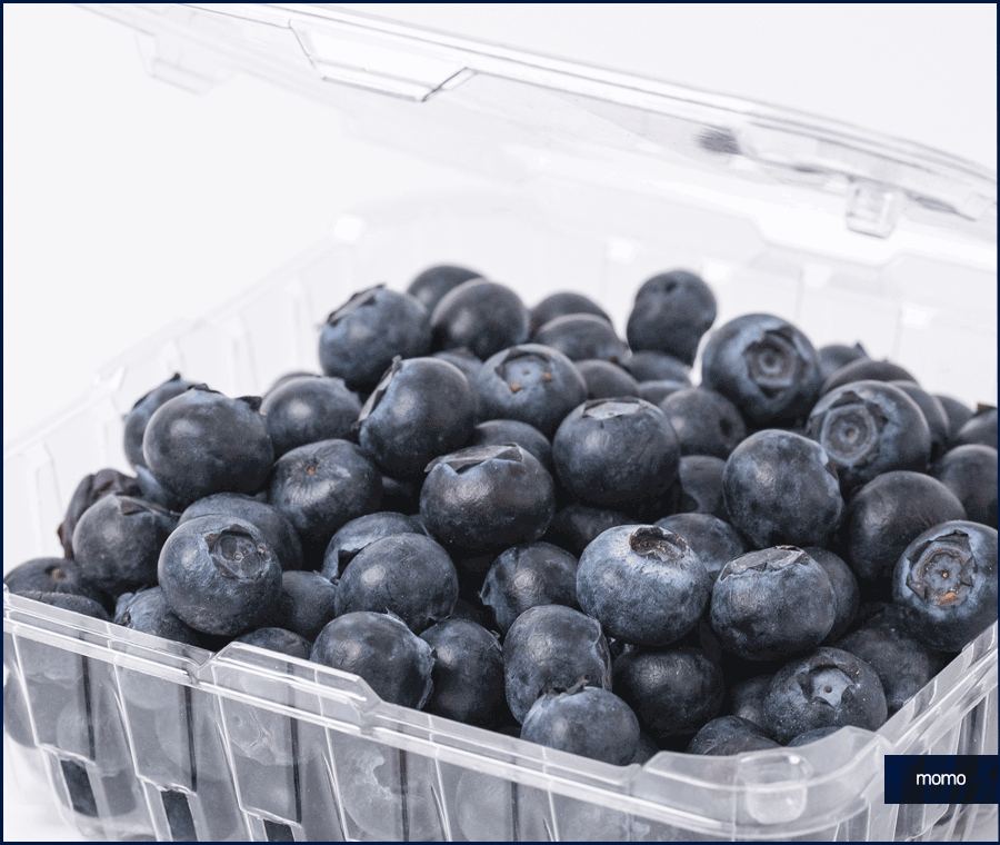 원형탈모에 좋은 음식 고민이라면 꼭 먹기 관련 이미지 14