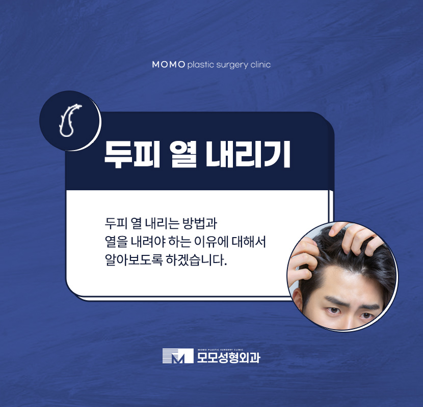 두피열내리기 방법과 중요한 이유까지 알아보는 관련 이미지 1