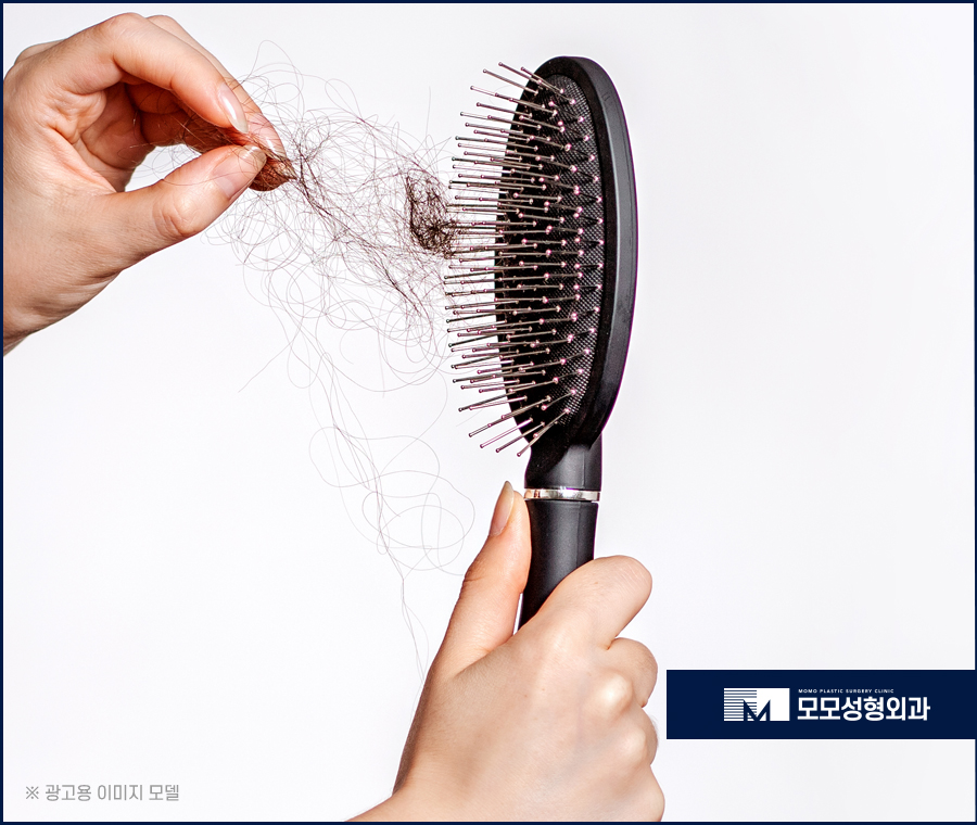머리카락끊어짐 원인과 개선 방안 관련 이미지 10