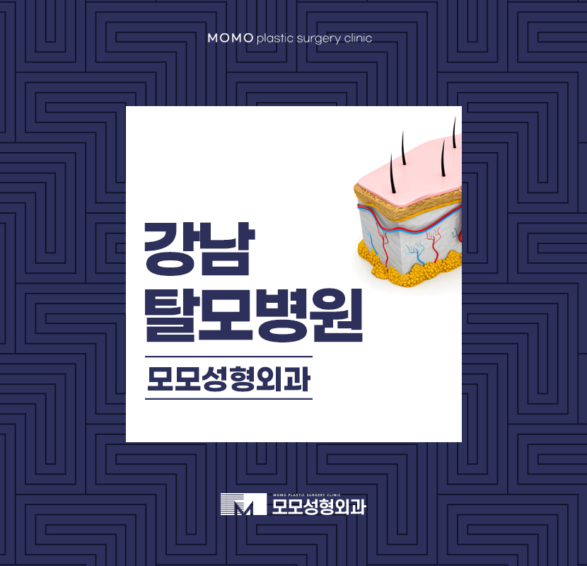 강남탈모병원 처치 방법에 대해 관련 이미지 1