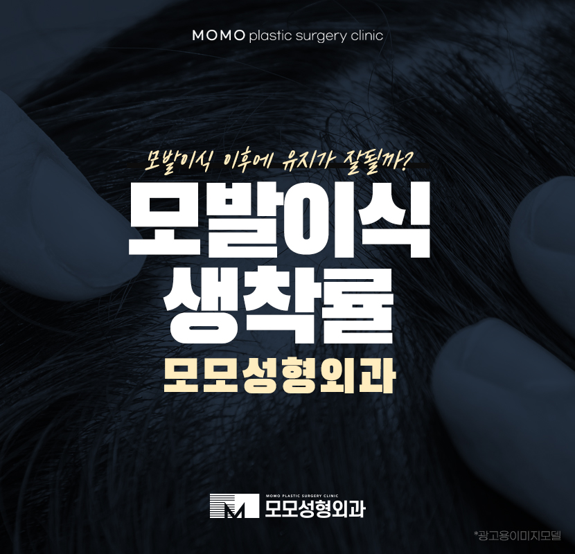 모발이식생착률이 관건인 이유는 관련 이미지 1