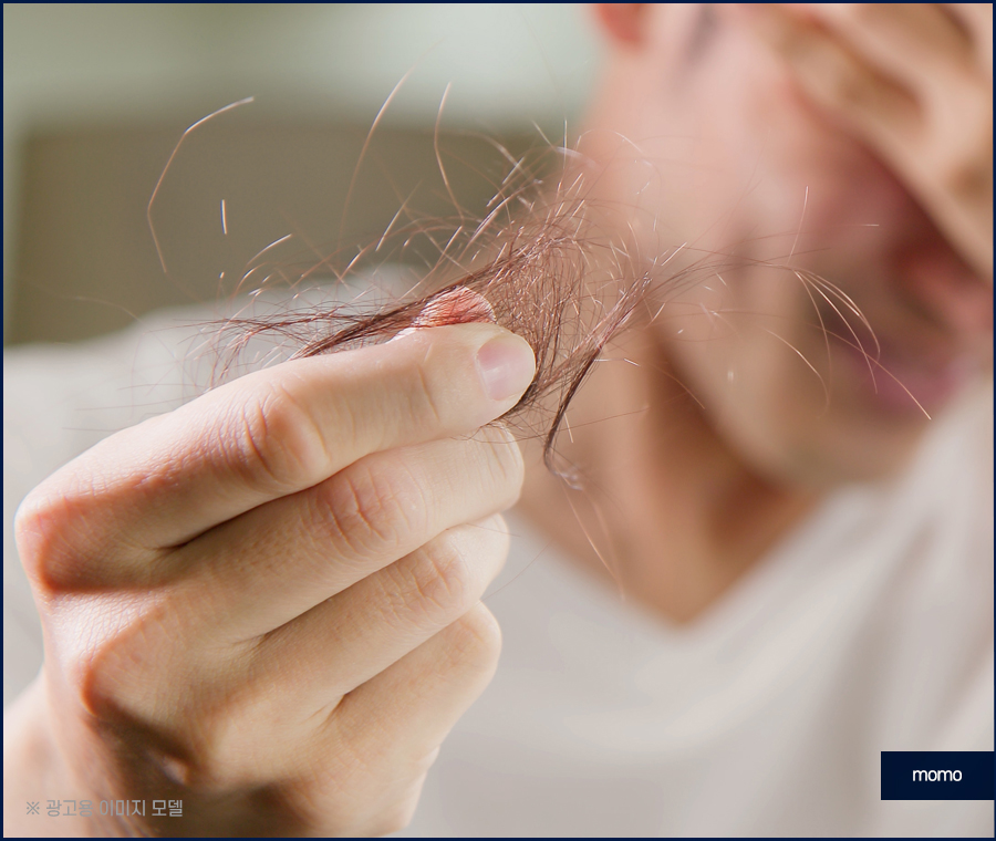 m자 모발이식 가격 달라지게 되는 이유는 관련 이미지 7