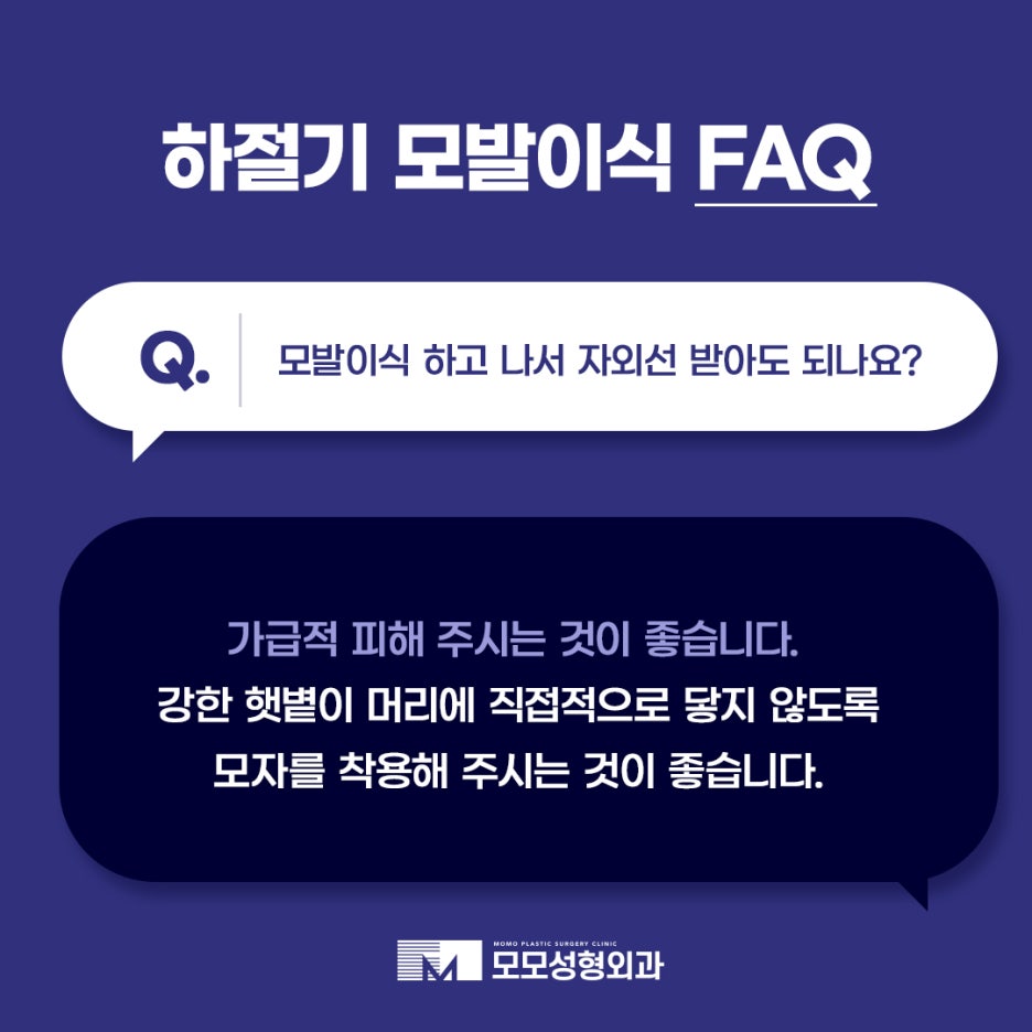 하절기 모발이식 FAQ 모모와 함께 알아보세요 관련 이미지 8
