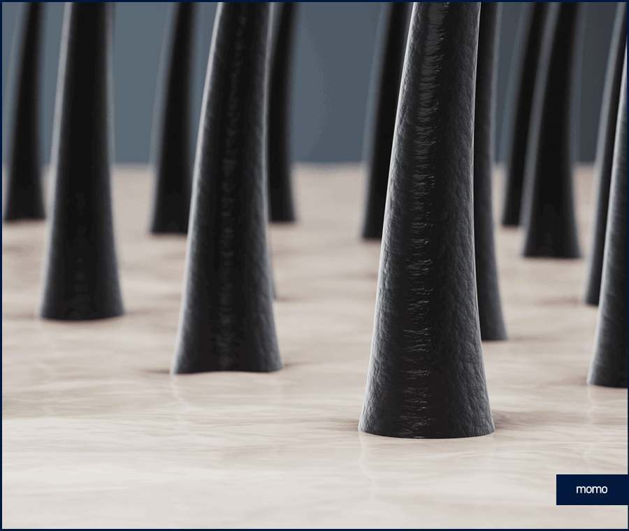 엠자탈모 약 진단과 처방으로 효과보기 위한 관련 이미지 2