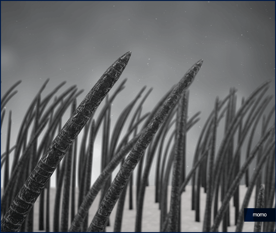 엠자탈모 약 진단과 처방으로 효과보기 위한 관련 이미지 10