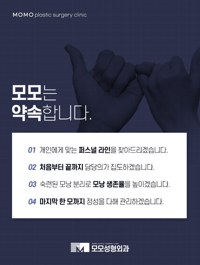 남자헤어라인교정 정교하게 채우고 생착률을 높이는 관련 이미지 6