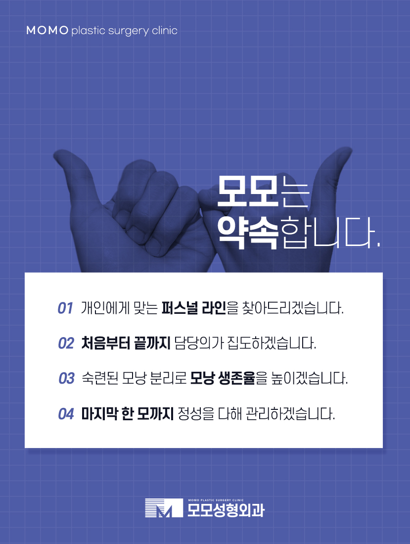 모발이식리터치 여부를 꼭 확인해야 합니다 관련 이미지 10