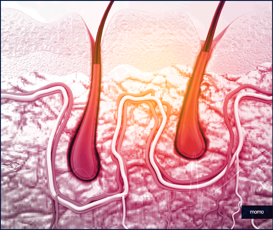 압구정 모발이식 병원 찾고 있다면 꼭 확인하세요 관련 이미지 8