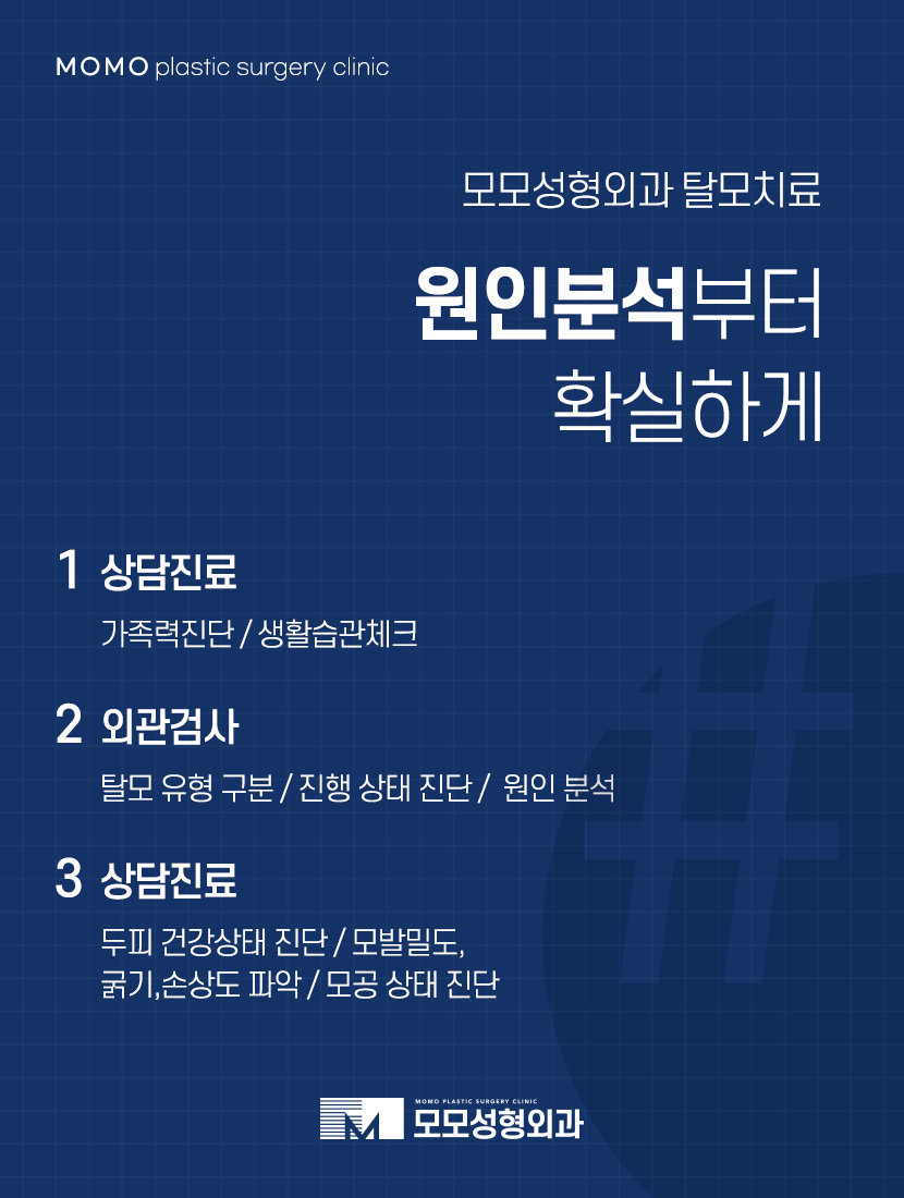 30대 정수리 탈모 초기 증상부터 대응 방법까지 관련 이미지 7