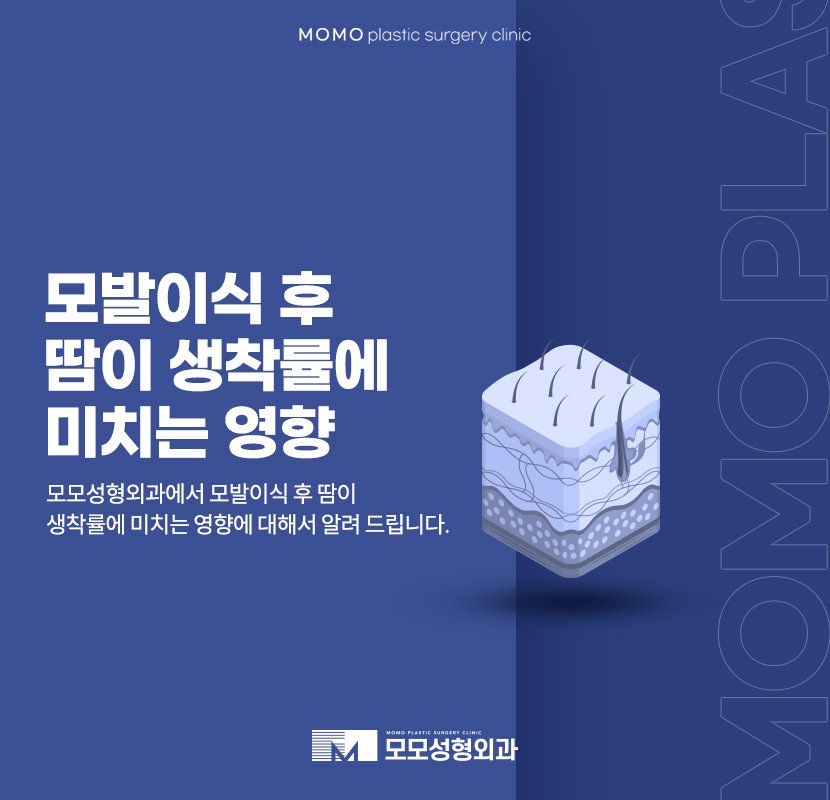 모발이식땀 나는 일은 생착률에 어떤 영향을 미칠까 관련 이미지 1