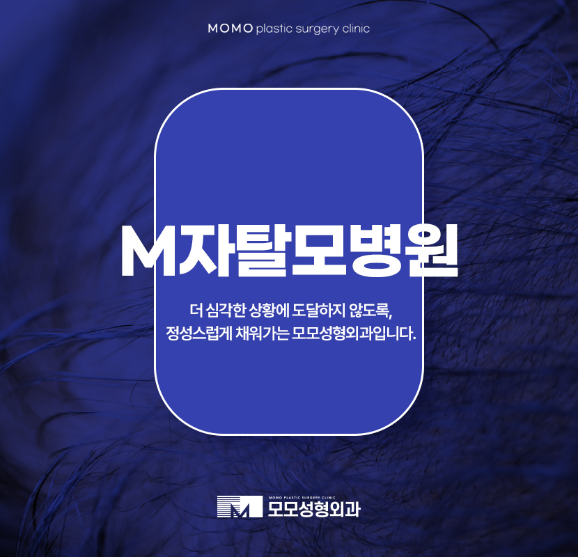 M자탈모병원 더 넓은 범위가 탈락하기 전에 관련 이미지 1