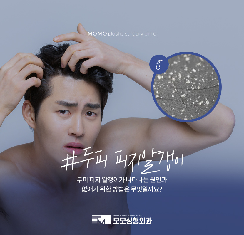 두피 피지알갱이 원인과 없애는 방법은 관련 이미지 1