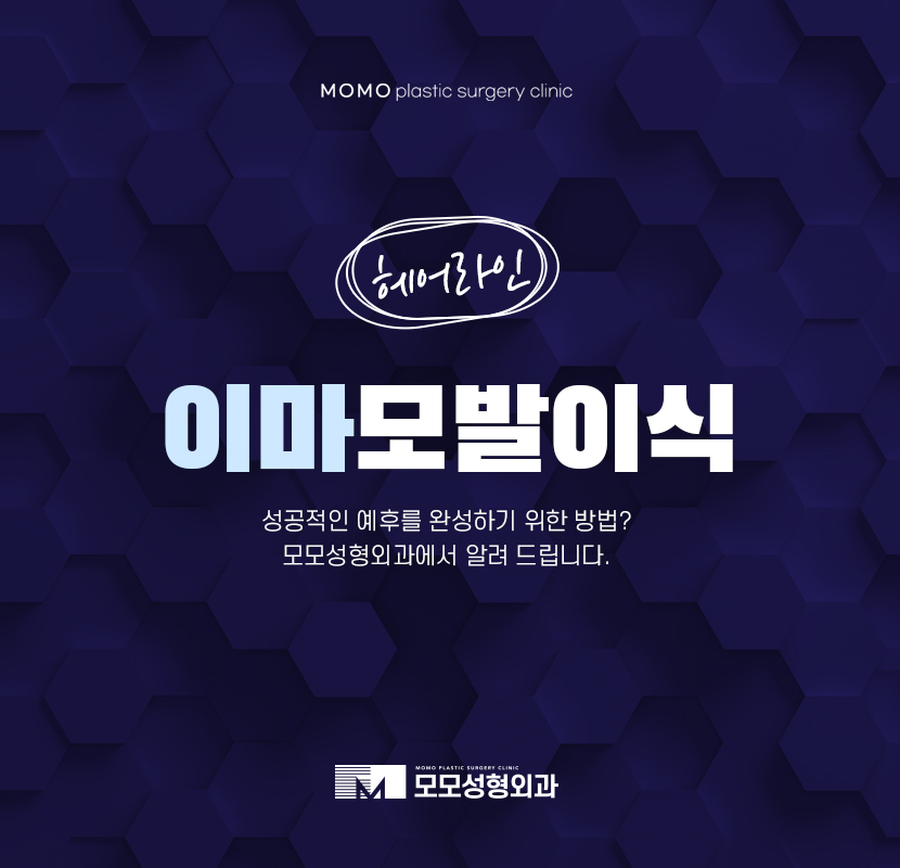 이마모발이식 정돈된 예후를 완성하는 관련 이미지 1