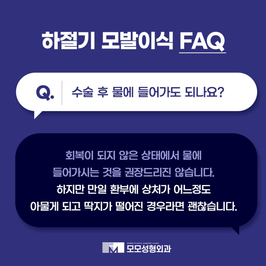하절기 모발이식 FAQ 모모와 함께 알아보세요 관련 이미지 4