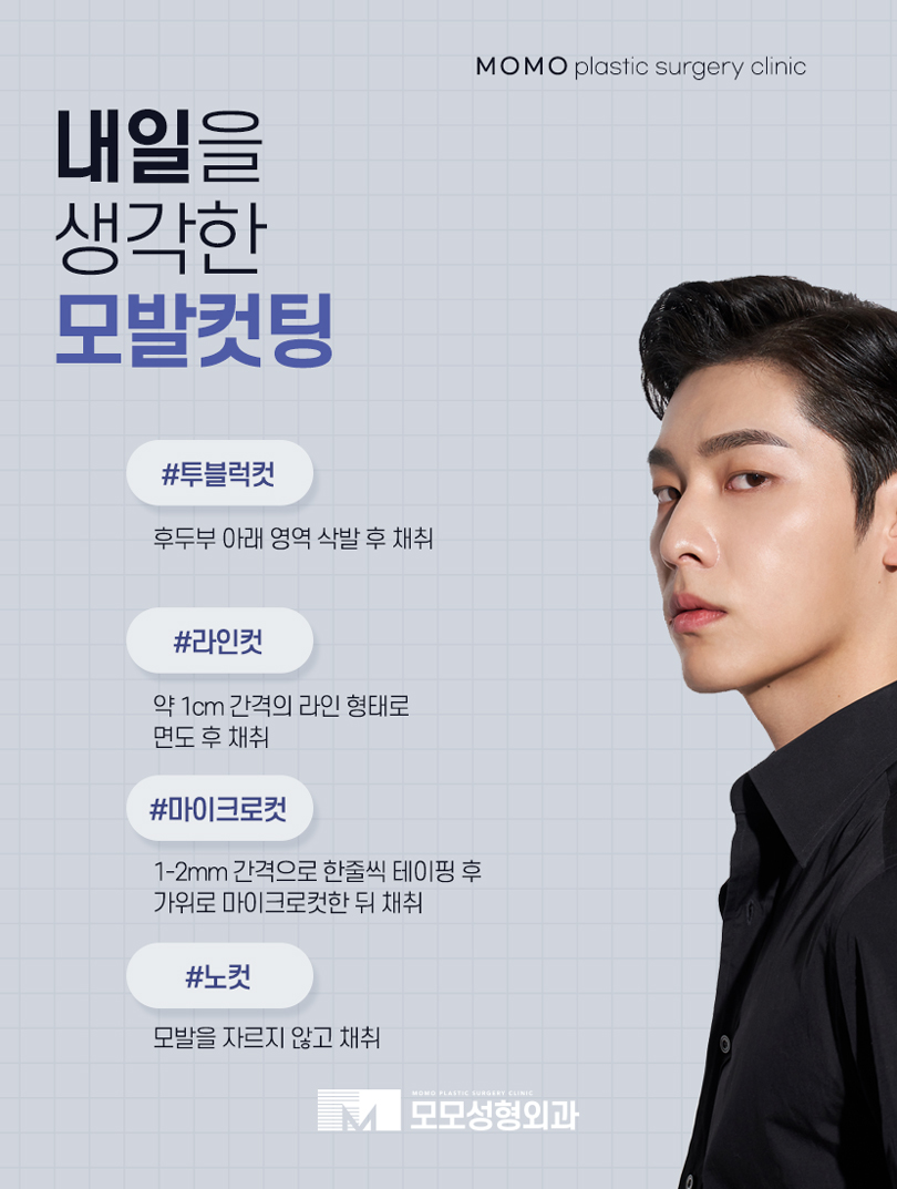 신사모발이식 자연스러움까지 얻어내기 위한 관련 이미지 6