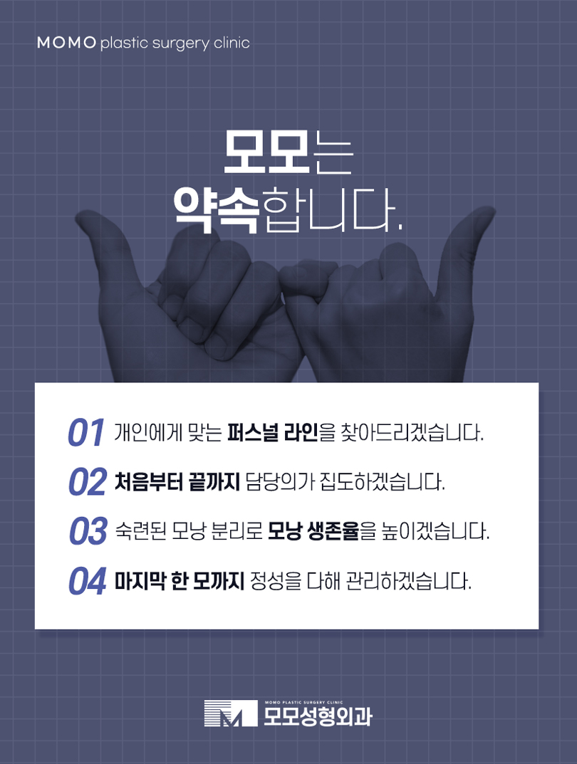 여자M자탈모 외모의 퀄리티를 더하는 보강 방법 관련 이미지 9