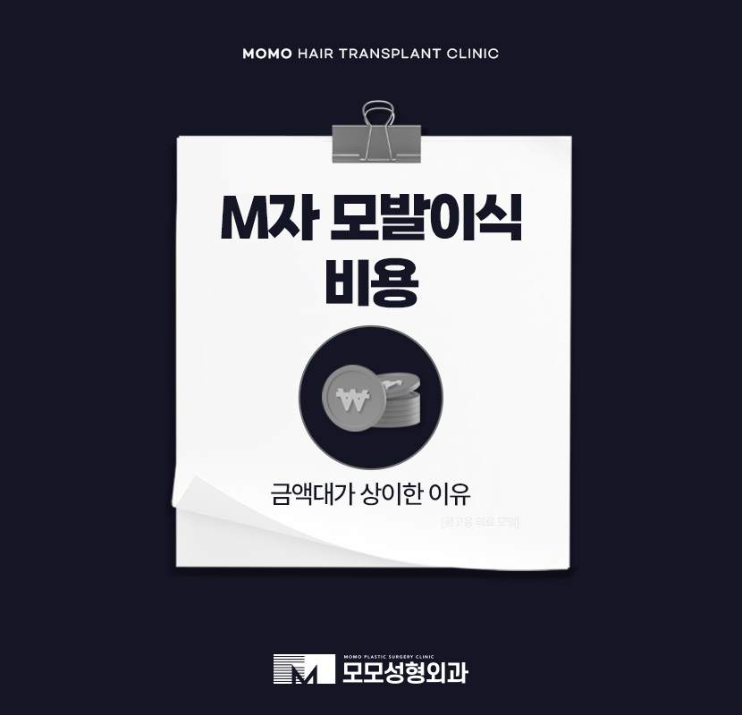 M자 모발이식 비용과 금액대가 달라지는 이유 관련 이미지 1