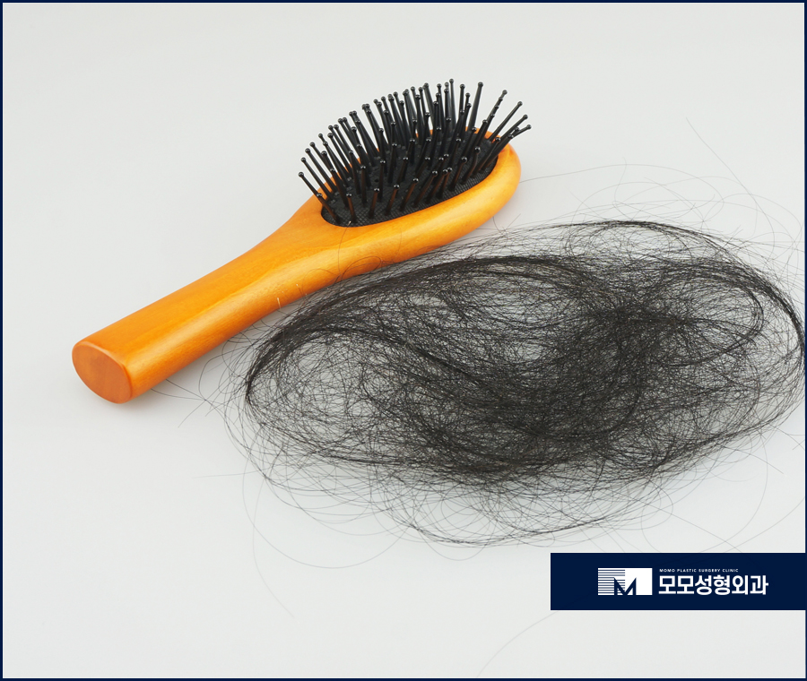 머리카락끊어짐 원인과 개선 방안 관련 이미지 6