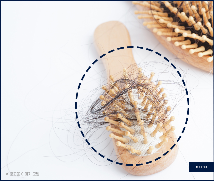 머리카락 얇아짐 발생하는 이유부터 회복 방안 관련 이미지 5