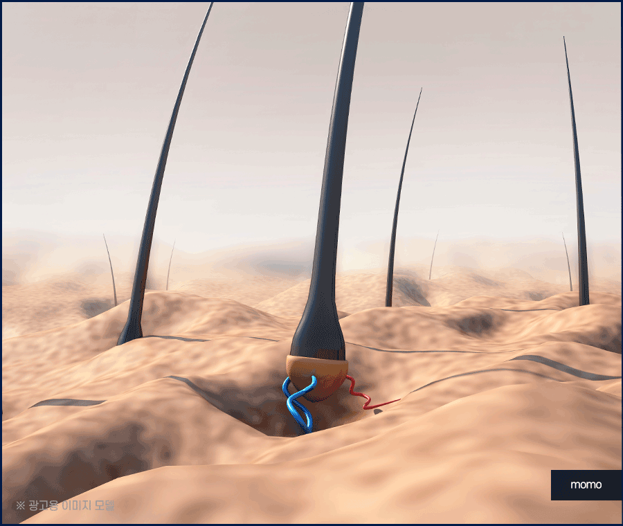 모발이식병원추천 개인에게 맞춰 진단하는 곳으로 관련 이미지 5