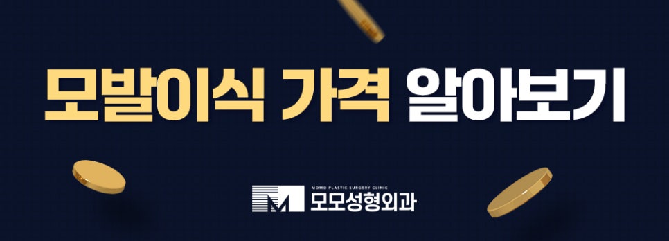 헤어라인 교정 비용 및 방법 디자인의 중요성 관련 이미지 17