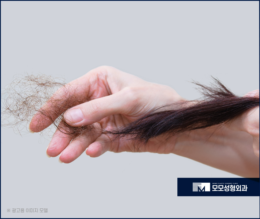 머리카락끊어짐 원인과 개선 방안 관련 이미지 5