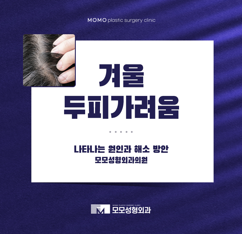 겨울두피가려움 나타나는 원인과 해소 방안 관련 이미지 1