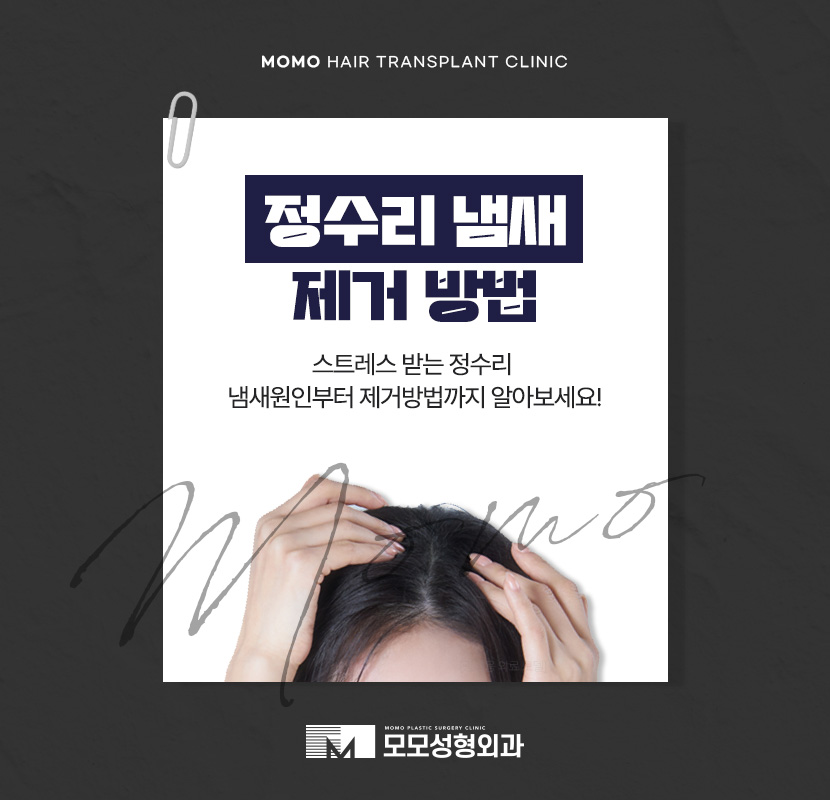 정수리 냄새 제거 원인부터 탁월한 제거 방안까지 관련 이미지 1