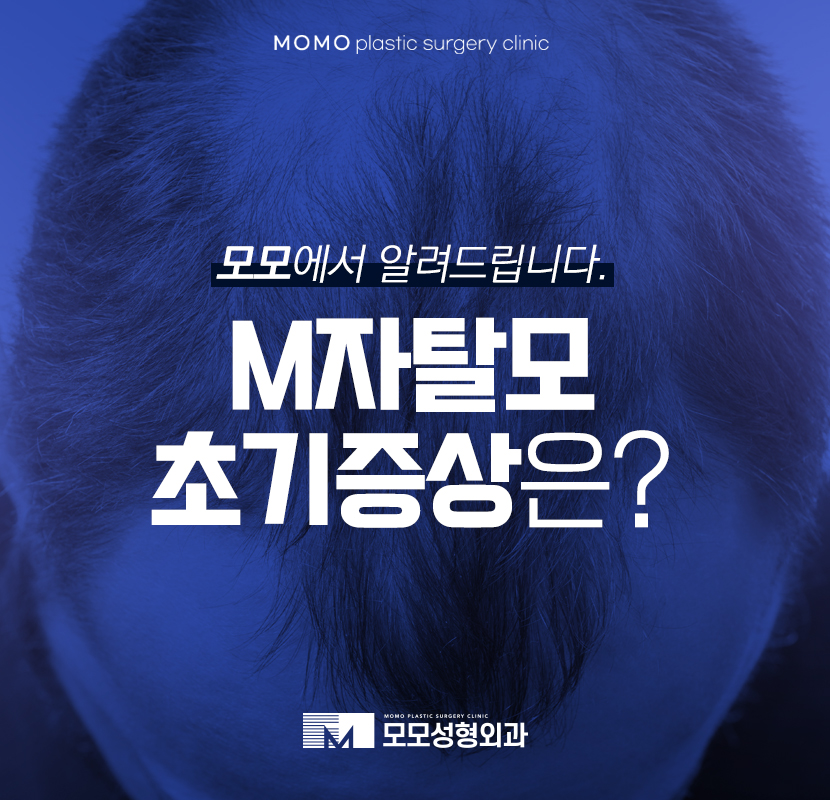 m자탈모초기 현상은 어떠한지 알아보고 관련 이미지 1