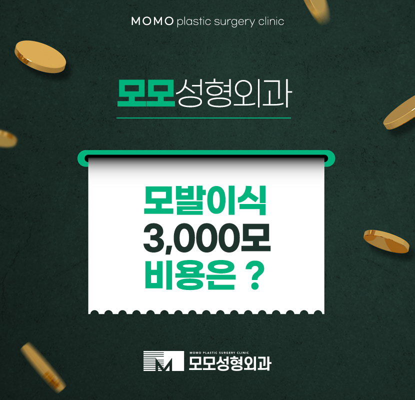 모발이식 3000모 비용 어느 정도일까 관련 이미지 1