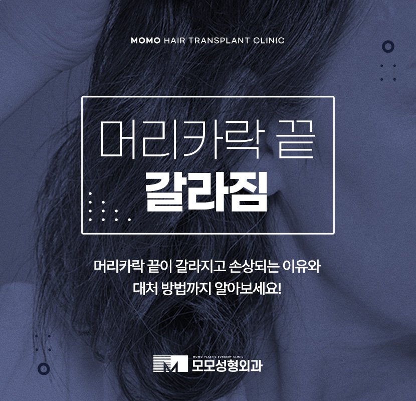 머리카락 끝 갈라짐 이유와 손상에 대처하는 방법까지 관련 이미지 1