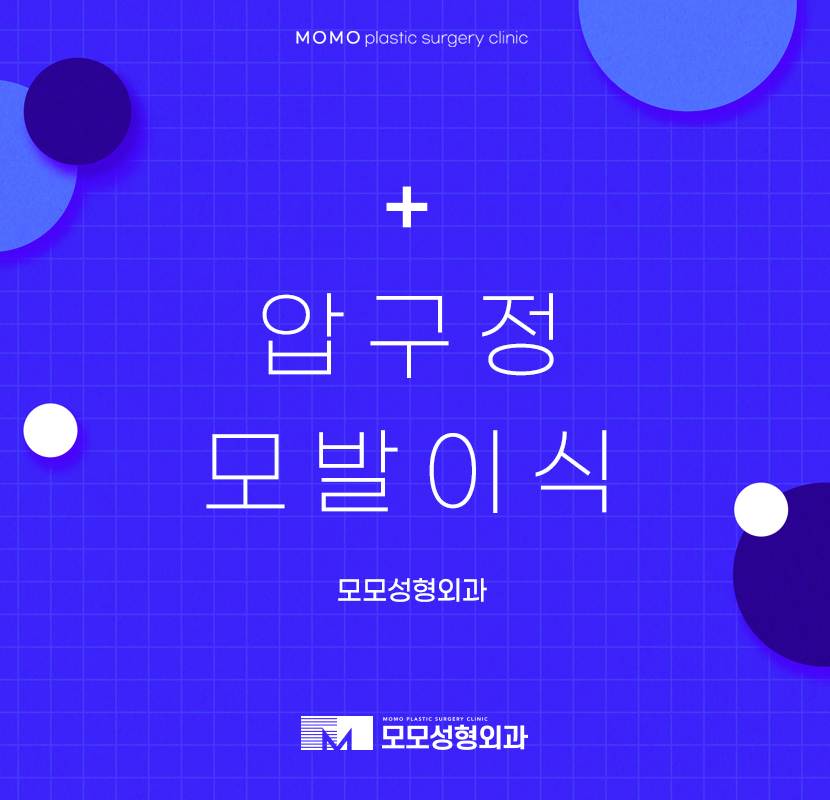 압구정모발이식 섬세한 모모성형외과 관련 이미지 1
