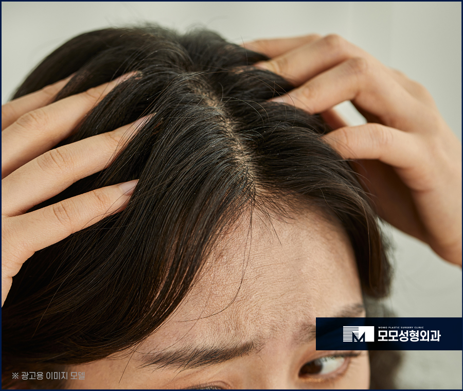 강남모발이식병원 탈모에 대한 고민을 나누는 곳 관련 이미지 2