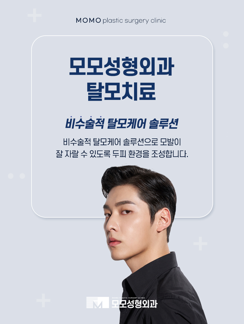 30대 정수리 탈모 초기 증상부터 대응 방법까지 관련 이미지 6