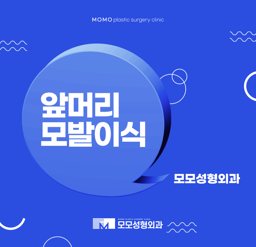 앞머리모발이식 고려되어야 할 요소는 관련 이미지 1