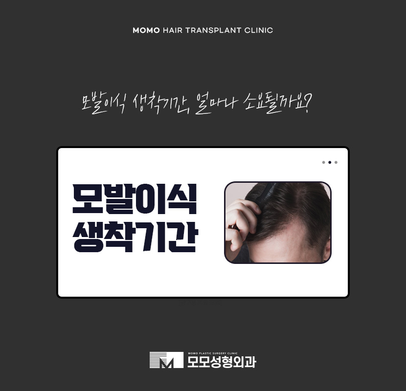 모발이식 생착기간 생착률 및 주의할 점 확인 관련 이미지 1