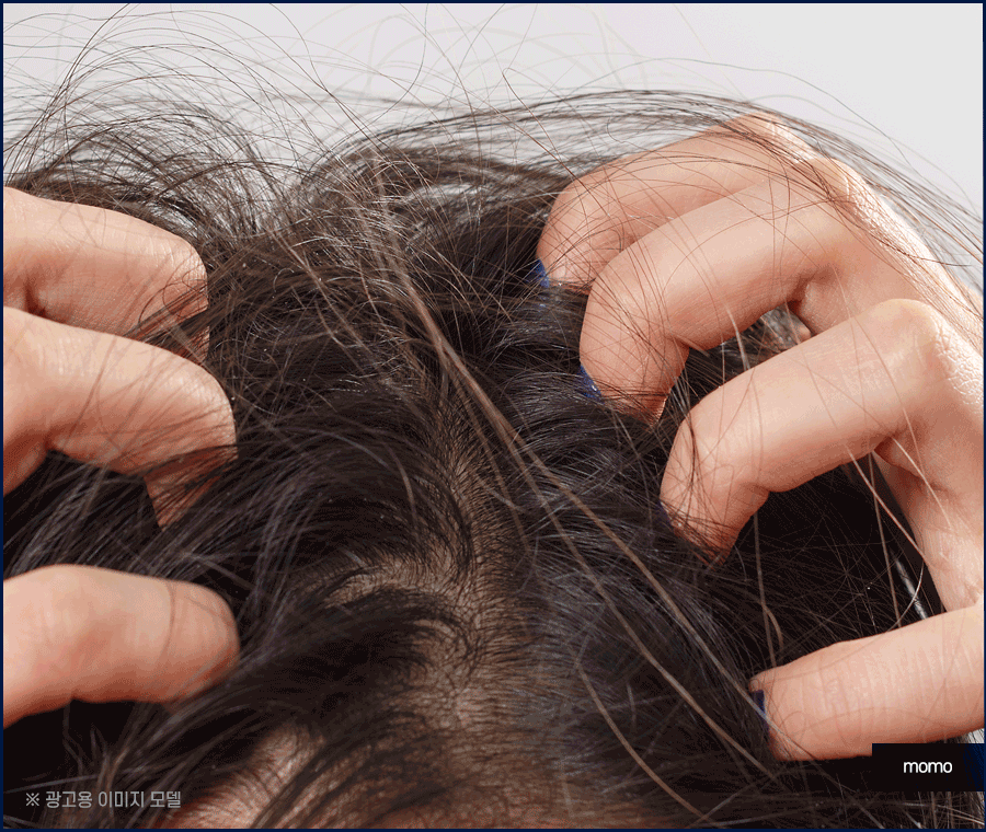 모발 굵어지는 효과적인 방법 3가지 알아보기 관련 이미지 8