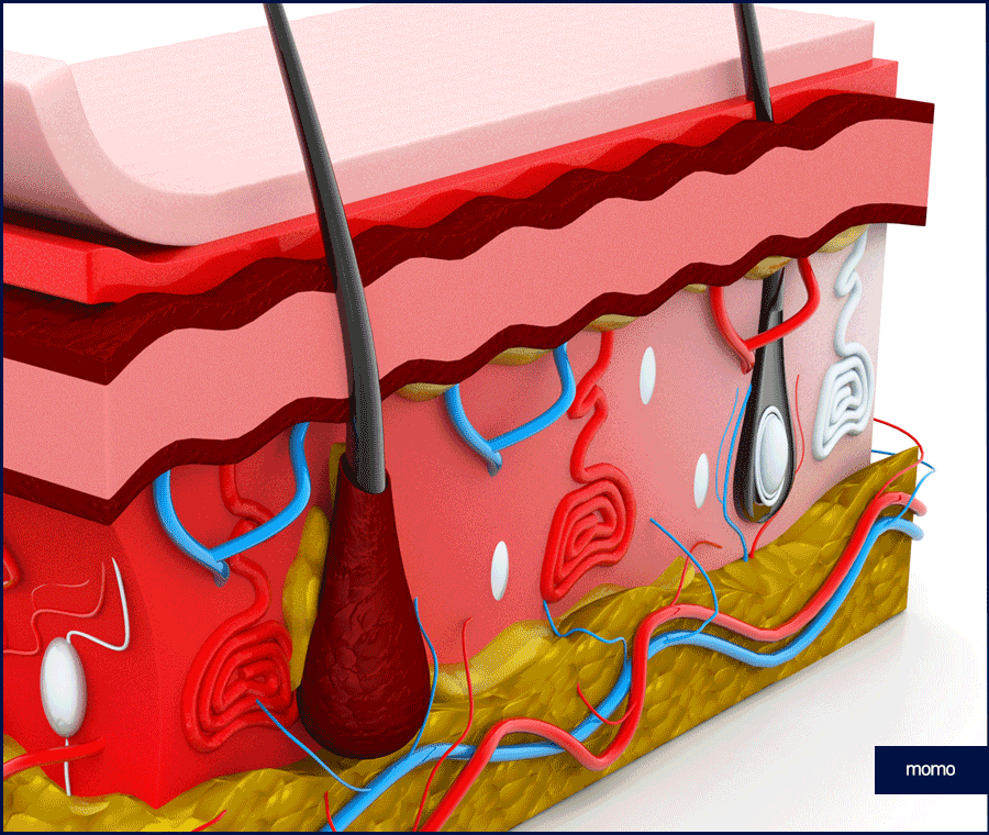M자탈모치료 모발이식이 특별한 이유 3가지 관련 이미지 9