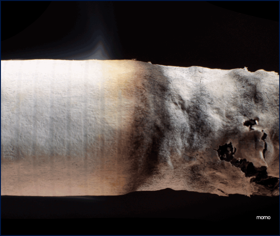 원형탈모에 좋은 음식 고민이라면 꼭 먹기 관련 이미지 7