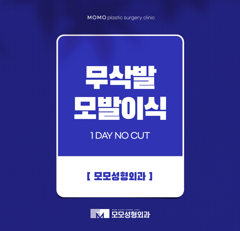 무삭발모발이식 신속한 회복으로 관련 이미지 1