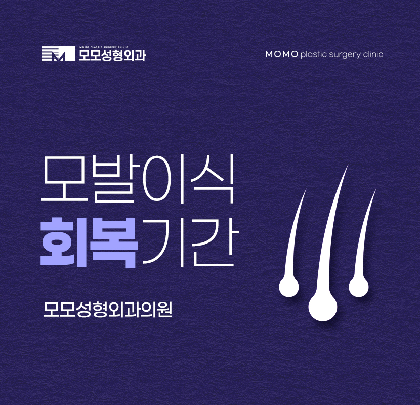 모발이식회복기간 신속하게 이뤄지는 방향은 관련 이미지 1