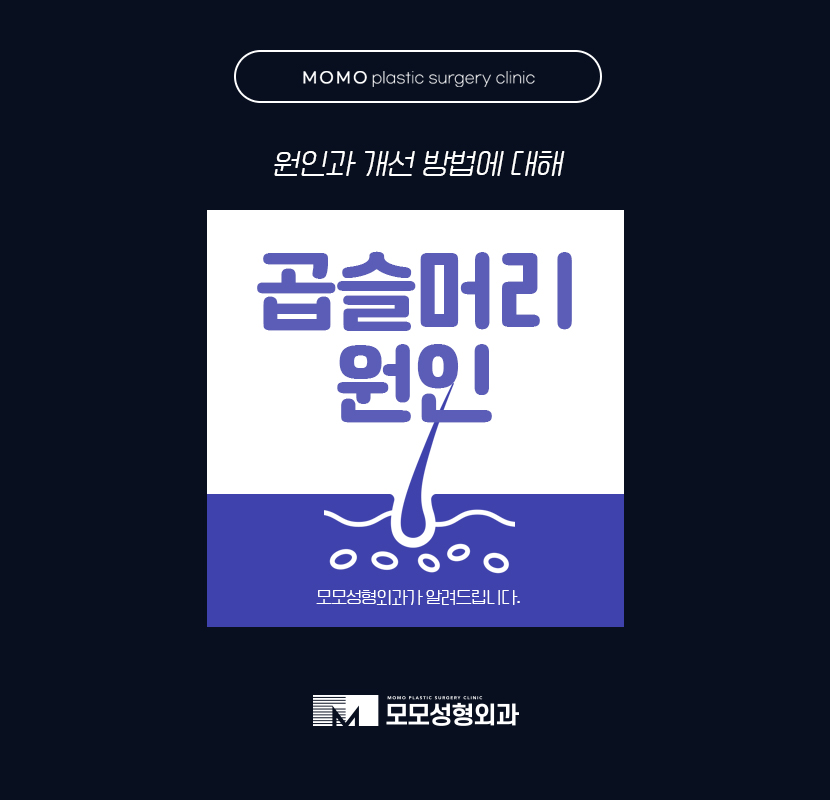 곱슬머리원인 개선 방법에 대해 관련 이미지 1