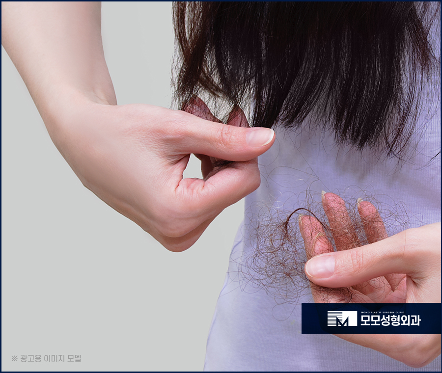 모발이얇아지는이유 그 원인부터 분명하게 알아야하는 관련 이미지 3
